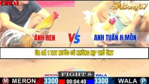 Trận 8 CPC1 12/4/2025