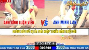 Trận 8 CPC1 3/4/2025
