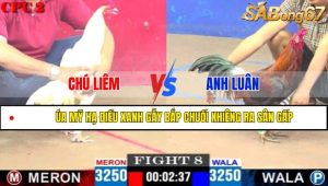 Trận 8 CPC2 6/4/2025