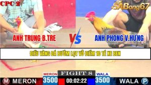 Trận 8 CPC2 9/4/2025