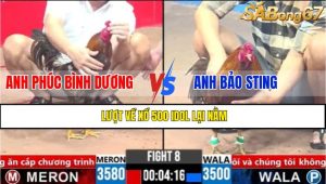 Trận 8 CPC3 1/4/2025