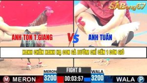 Trận 8 CPC3 13/4/2025