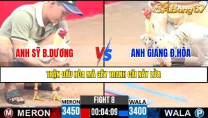 Trận 8 CPC3 8/4/2025