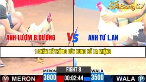 Trận 8 CPC3 9/4/2025