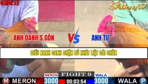 TRẬN 9 CPC1 17/4/2025