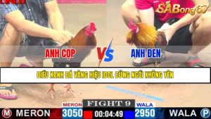 TRẬN 9 CPC1 19/4/2025