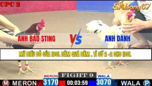 Trận 9 CPC2 11/4/2025