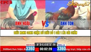 Trận 9 CPC2 4/4/2025