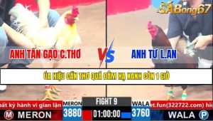 Trận 9 CPC3 1/4/2025