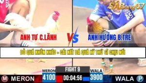 Trận 9 CPC3 11/4/2025