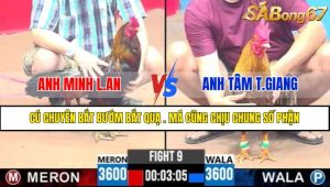 Trận 9 CPC3 13/4/2025