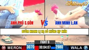 TRẬN 9 CPC3 16/4/2025