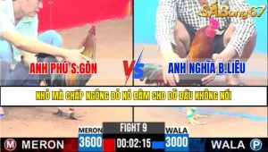Trận 9 CPC3 9/4/2025