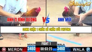 TRẬN 1 CPC3 19/05/2025 : ANH TI BÌNH DƯƠNG VS ANH MŨI