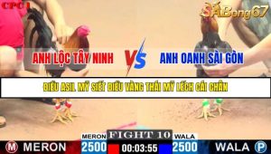 TRẬN 10 C1 26/05/2025