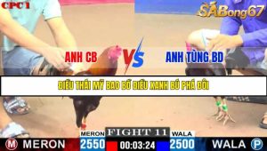TRẬN 11 C1 26/05/2025