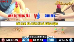 TRẬN 12 C1 26/05/2025
