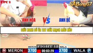 TRẬN 12 C1 27/05/2025