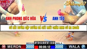 TRẬN 12 C1 20/05/2025