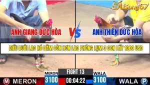 TRẬN 13 CPC3 20/05/2025 : ANH GIANG ĐỨC HÒA VS ANH THIÊN ĐỨC HÒA