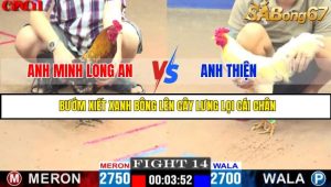 TRẬN 14 CPC1 19/05/2025 : ANH MINH LONG AN VS ANH THIỆN