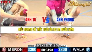 TRẬN 15 C1 27/05/2025