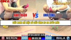 TRẬN 15 CPC1 19/05/2025 : ANH THUẬN VS ANH TÙNG