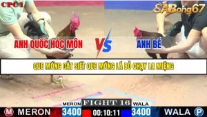TRẬN 16 C1 27/05/2025