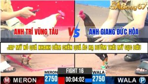 TRẬN 16 C3 27/05/2025
