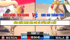 TRẬN 17 C3 27/05/2025
