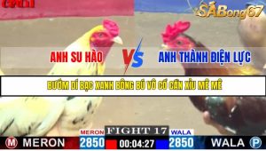 TRẬN 17 CPC1 19/05/2025 : ANH SU HÀO VS ANH THÀNH ĐIỆN LỰC