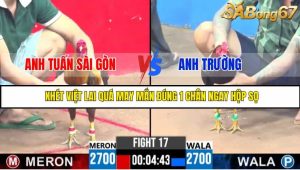 TRẬN 17 CPC3 19/05/2025 : ANH TUẤN SÀI GÒN VS ANH TRƯỜNG