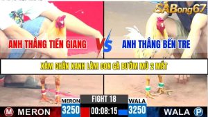 TRẬN 18 C3 27/05/2025