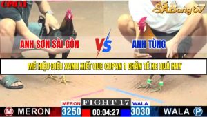 TRẬN 18 CPC1 19/05/2025 : ANH SƠN SÀI GÒN VS ANH TÙNG