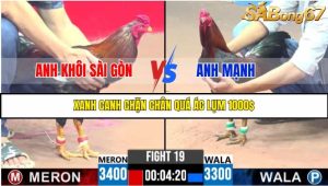 TRẬN 19 C3 27/05/2025
