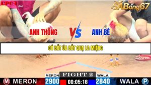 TRẬN 2 C1 27/05/2025