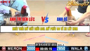 TRẬN 21 C1 27/05/2025