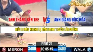 TRẬN 21 C3 27/05/2025