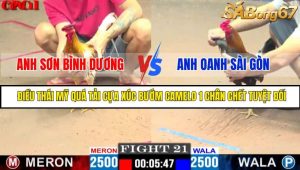 TRẬN 21 CPC1 19/05/2025 : ANH SƠN BÌNH DƯƠNG VS ANH OANH SÀI GÒN
