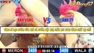 TRẬN 21 CPC1 20/05/2025 : ANH VÀNG VS ANH TÝ