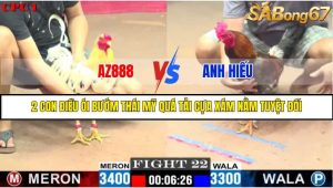 TRẬN 22 C1 27/05/2025