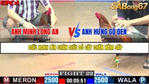 TRẬN 22 CPC1 19/05/2025 : ANH MINH LONG AN VS ANH HƯNG GÒ ĐEN