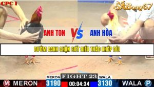 TRẬN 23 C1 27/05/2025