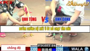 TRẬN 24 CPC2 18/05/2025 : ANH TÙNG VS ANH DANH