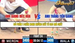 TRẬN 24 CPC3 20/05/2025 : ANH GIANG ĐỨC HÒA VS ANH THẮNG TIỀN GIANG