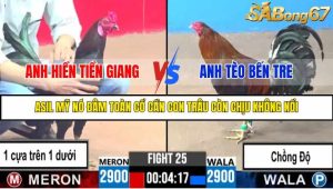 TRẬN 25 C3 27/05/2025