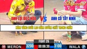 TRẬN 26 CPC3 19/05/2025 : ANH LỢI ĐỨC HÒA VS ANH CÒ TÂY NINH