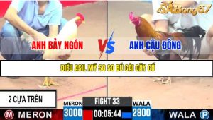 TRẬN 33 CPC3 20/05/2025 : ANH BẢY NGÓN VS ANH CẬU ĐÔNG