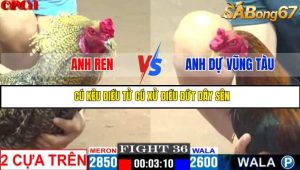 TRẬN 36 CPC1 19/05/2025 : ANH REN LỰC VS ANH DỰ VŨNG TÀU