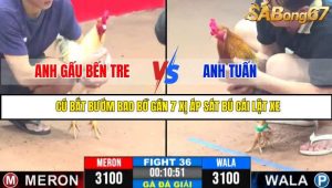 TRẬN 36 CPC3 18/05/2025 : ANH GẤU BẾN TRE VS ANH TUẤN